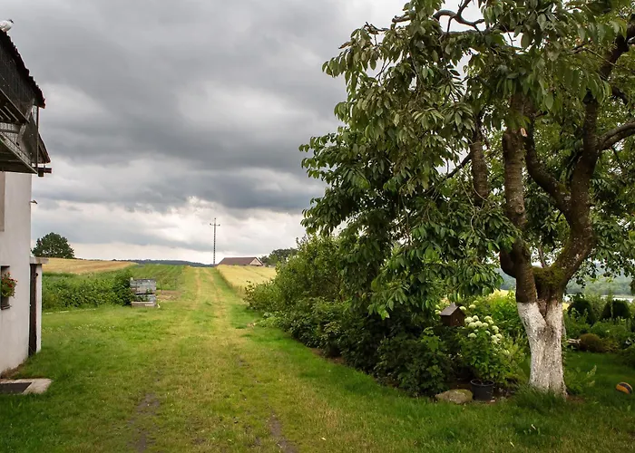 Apartment U Ludwiki Chmielno